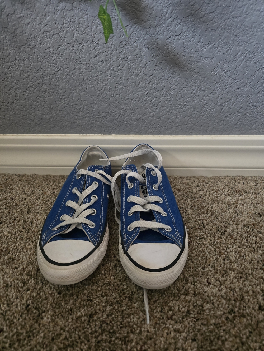 Blue Low-Top Kids Canvas Sneakers with White Laces